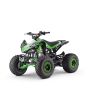 Bencinski štirikolesnik za otroke Beneo Motors ZXT zelen - 125cm3