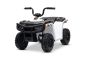 Licencirani električni štirikolesnik Arctic Cat 12V z zadnjim pogonom, bel, LED luči, litijeva baterija, 2 x 25W motor, originalna licenca